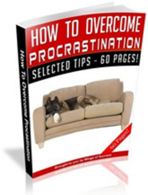 Product picture Overcoming Procrastination